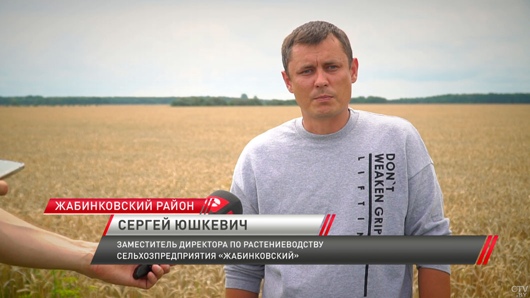 Хозяйства Брестской области приступили к уборке ярового ячменя-6 Хозяйства Брестской области приступили к уборке ярового ячменя-6