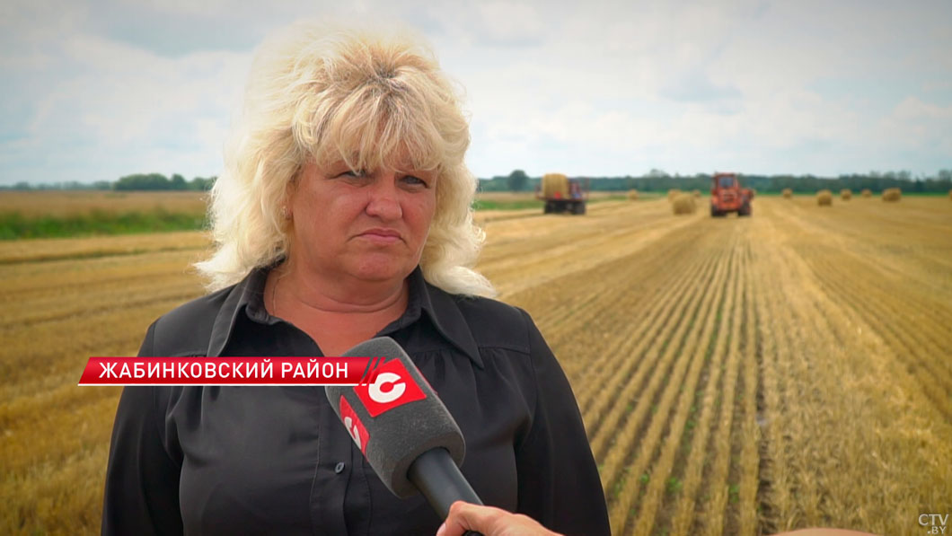 Хозяйства Брестской области приступили к уборке ярового ячменя-8 Хозяйства Брестской области приступили к уборке ярового ячменя-8