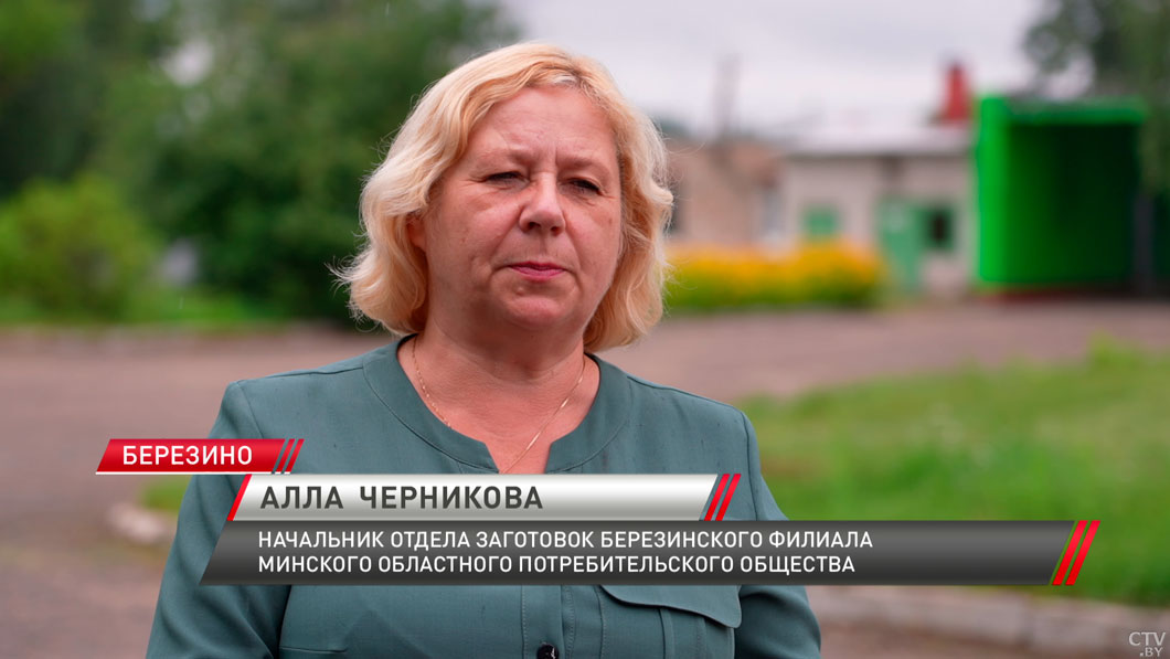 Сезонная заготовка в разгаре! Выяснили, как кооператоры помогают белорусам реализовать урожай-12