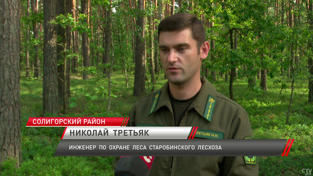 Без ущерба для природы! Сотрудники лесхозов напоминают основные правила сбора даров лесного фонда-4