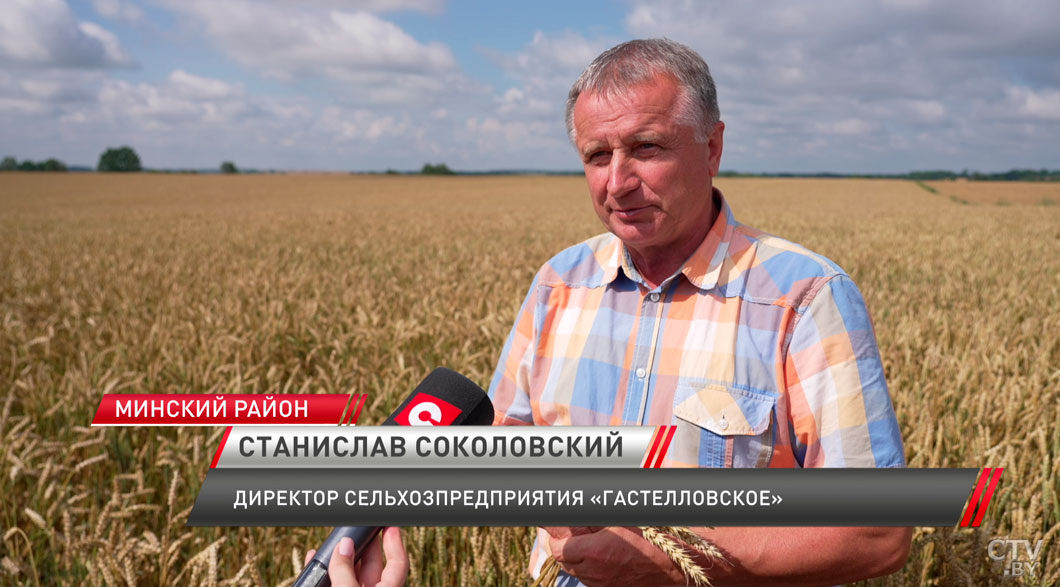 В Беларуси убрано около 15% зерновых культур-4