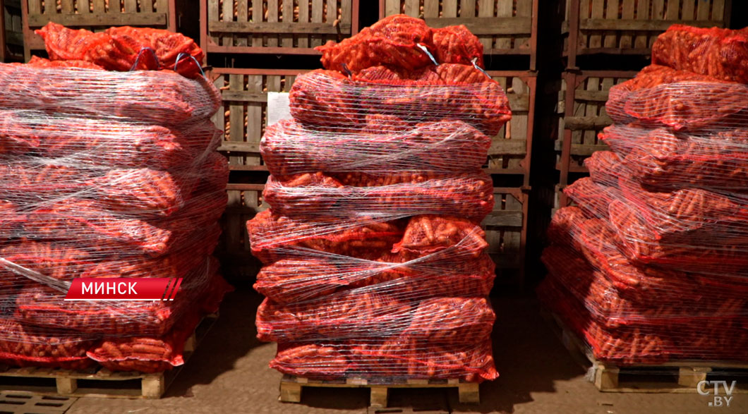 Около 150 тыс. тонн плодоовощной продукции направят в стабфонды Беларуси-2