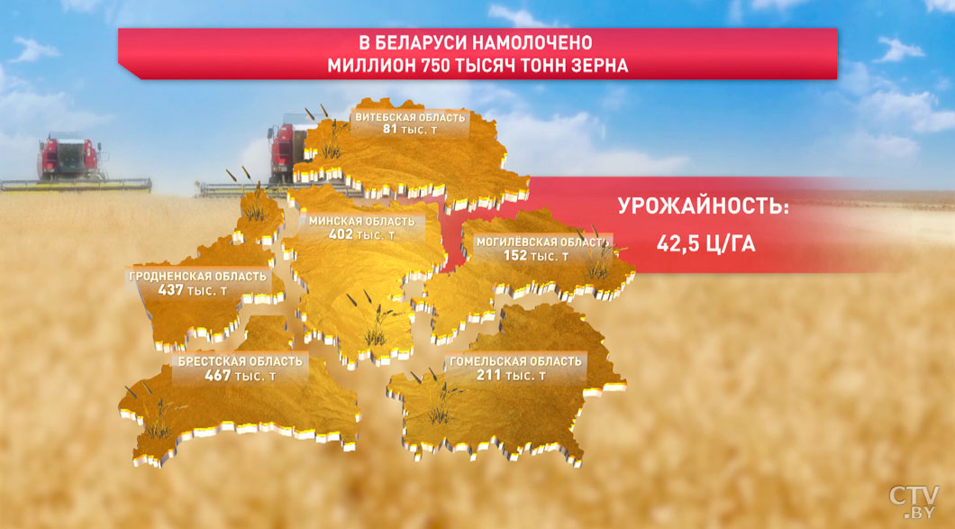 В Беларуси намолочено 1,75 млн тонн зерна-2