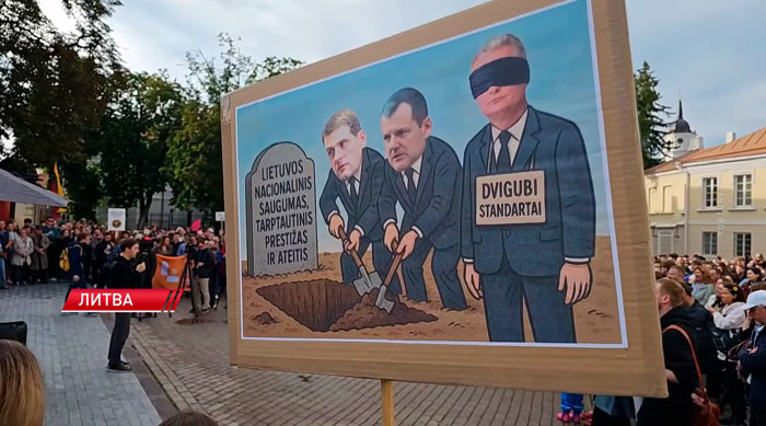  В Литве протестующие обвинили президента в отсутствии политической воли