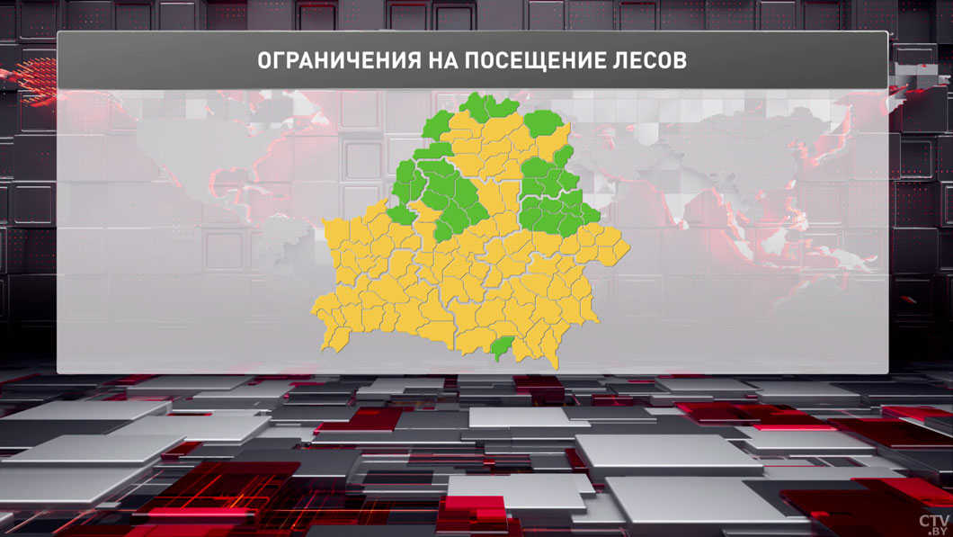 Ограничения на посещение лесов действуют в 86 районах Беларуси-2