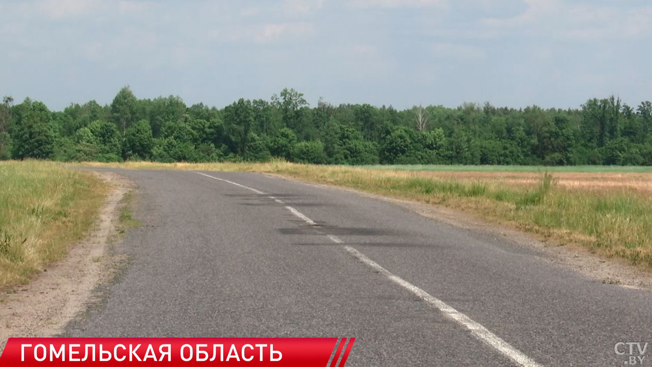 Ограничения на посещение лесов действуют в 107 районах Беларуси-2