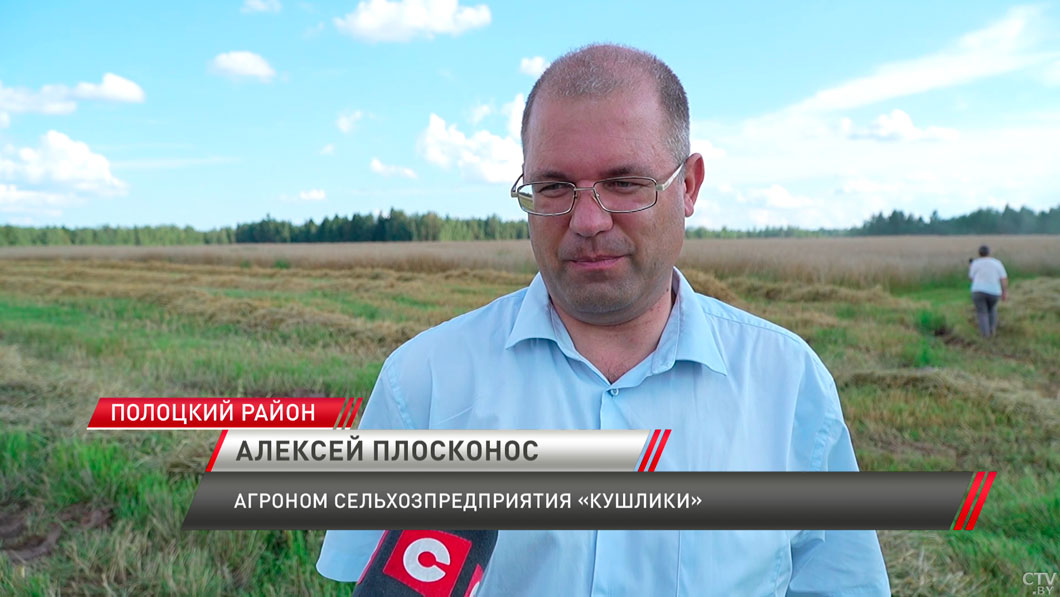 Начинают работу под колокольный звон! Как проходит уборочная в Полоцком районе -10