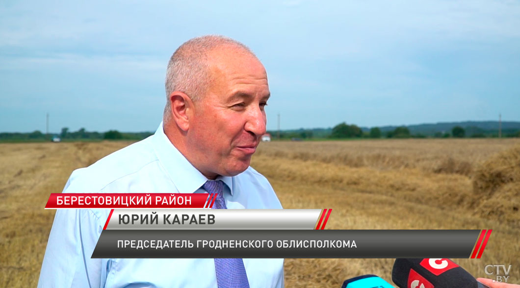 Миллион тонн зерна в Гродненской области! Аграрии передали символический сноп Караеву-6