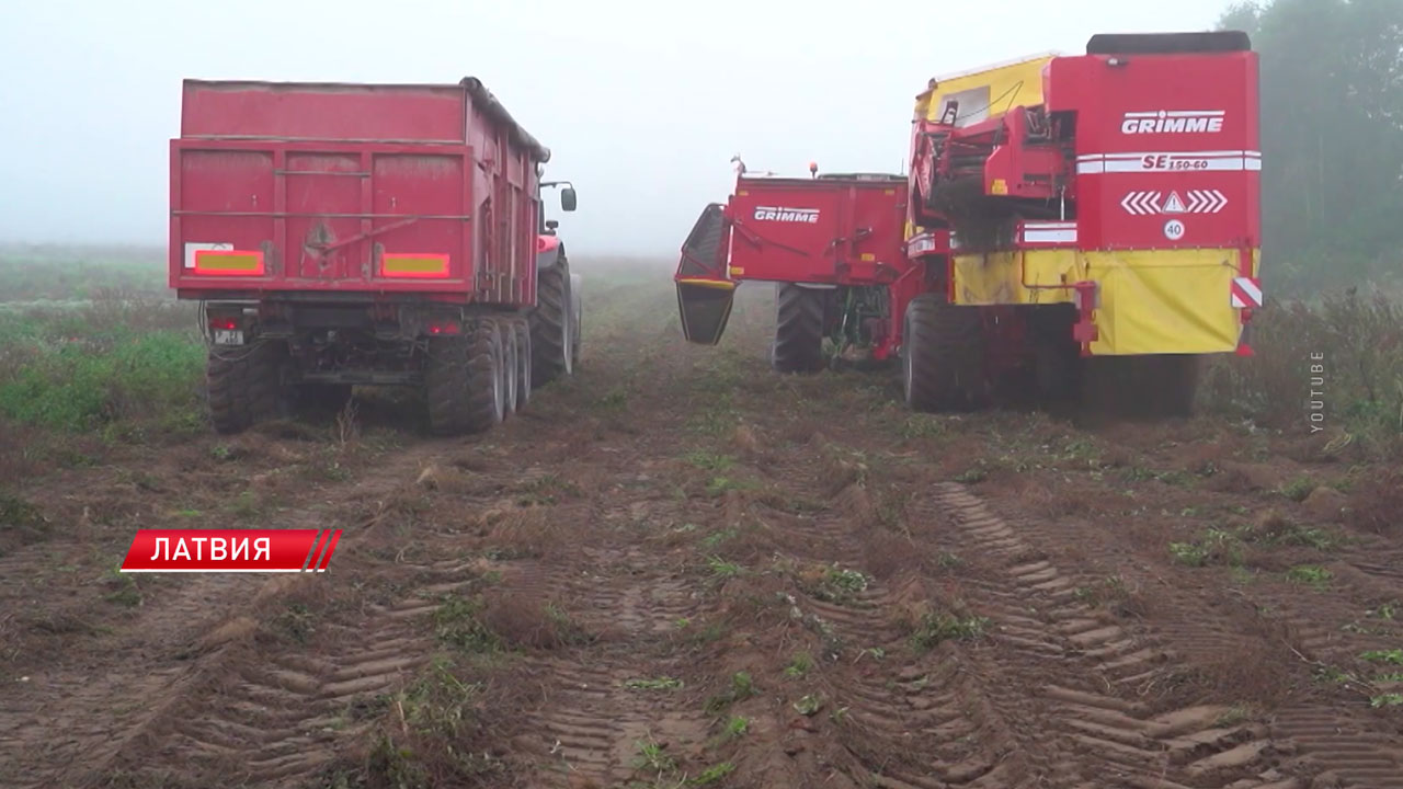 В Латвии из-за неурожая вырастут цены на сельхозпродукцию-2