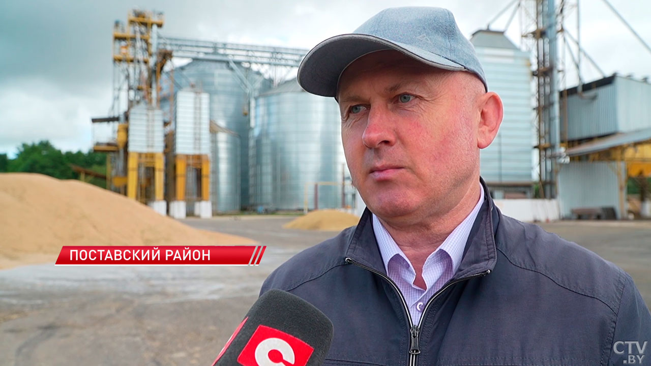 В Поставском районе убрано примерно 40% зерновых-6