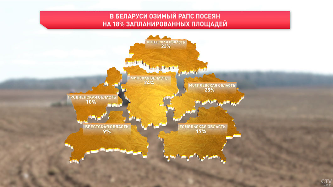В Беларуси озимый рапс посеян на 18% запланированных площадей-2