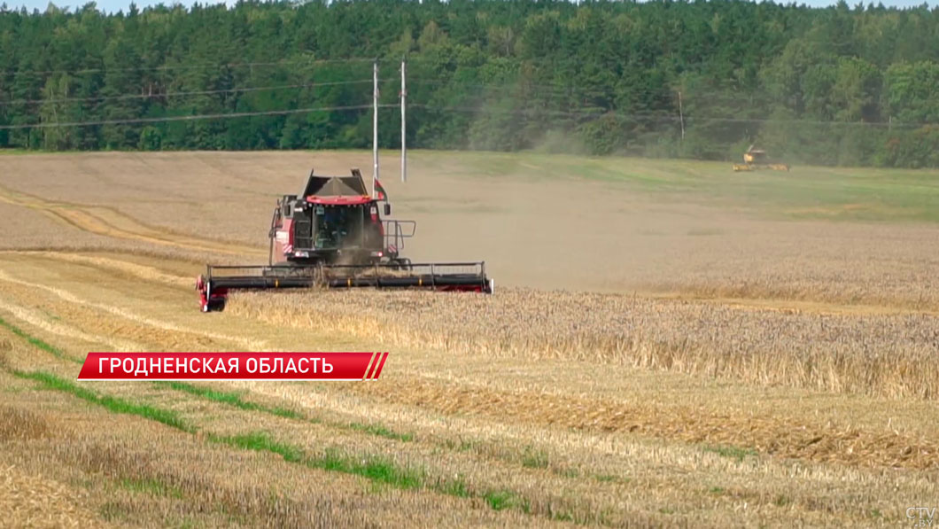Белорусские аграрии намолотили более 6 млн тонн зерна-2 Белорусские аграрии намолотили более 6 млн тонн зерна-2