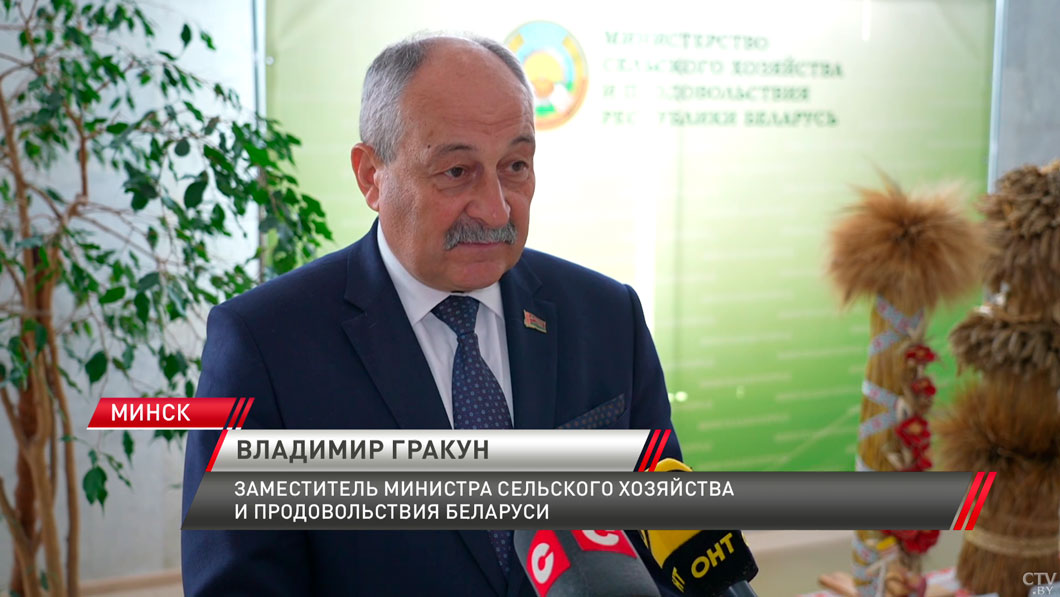 Гракун: на госзаказ поставлено 97% маслосемян рапса-2