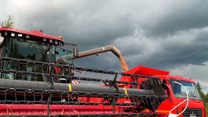 Белорусские аграрии намолотили почти 10,9 млн тонн зерна вместе с рапсом и кукурузой