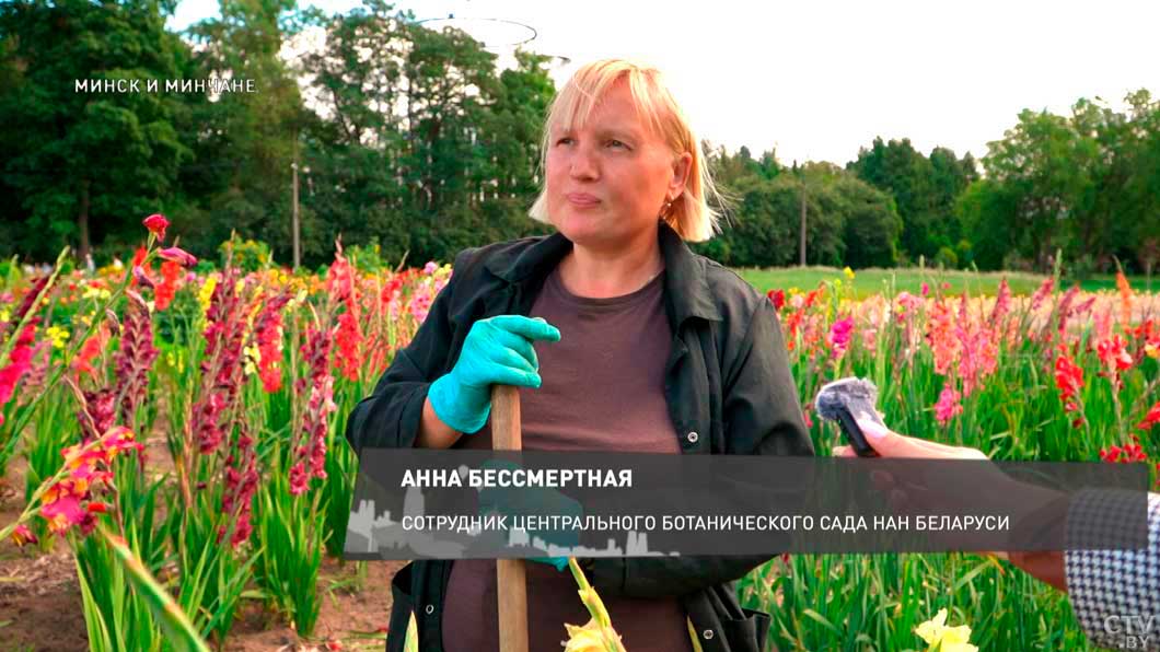 Летний променад – в Ботаническом саду зацвели георгины, гладиолусы и астры -14