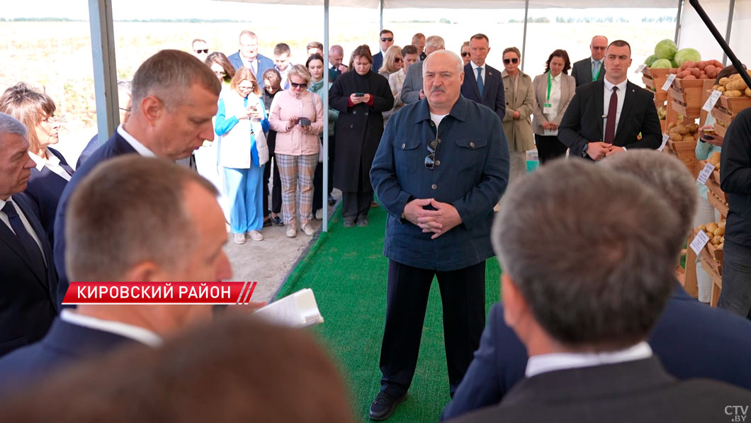Лукашенко: нам надо ориентироваться на собственные сорта картофеля-4