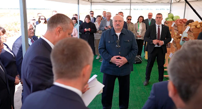 Лукашенко: нам надо ориентироваться на собственные сорта картофеля
