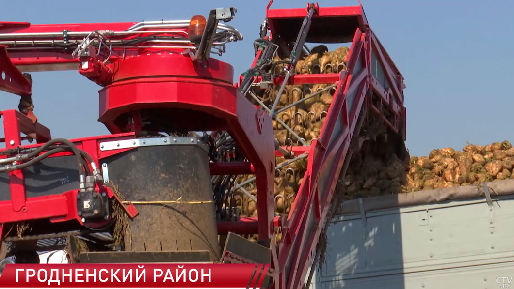 БЖД оказывает помощь в перевозке сахарной свёклы нового урожая-2