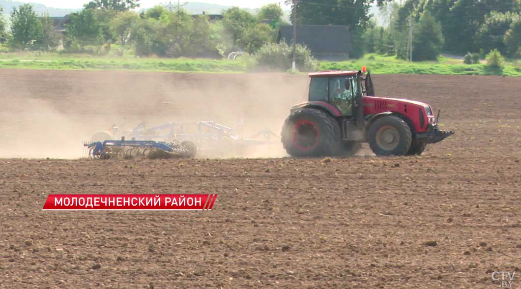 Аграрии Минской области планируют намолотить 800 тыс. тонн кукурузы на зерно-6