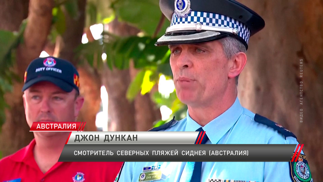 В Австралии из-за нападения акулы погиб человек-4