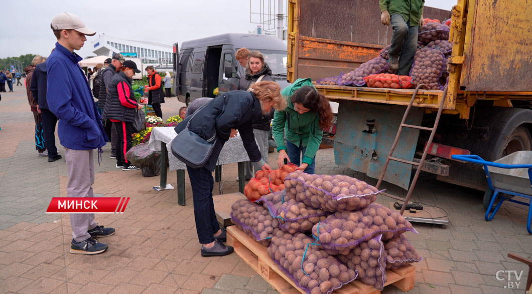 В Беларуси начался сезон сельскохозяйственных ярмарок-2