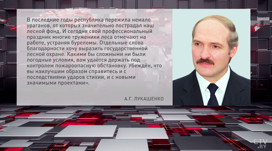 Лукашенко назвал важнейшие задачи, стоящие перед лесным комплексом Беларуси -2