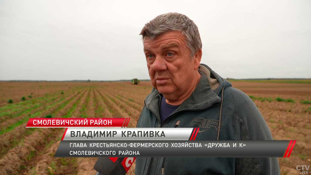 В Минской области началась закладка сельхозпродукции в стабфонды-4