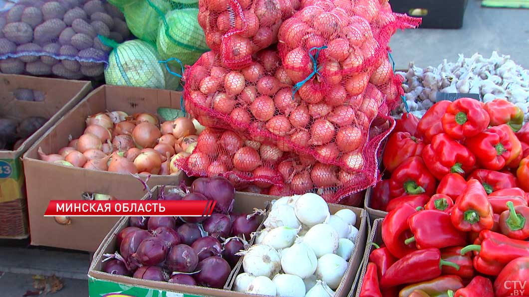 В Минской области началась закладка сельхозпродукции в стабфонды-8