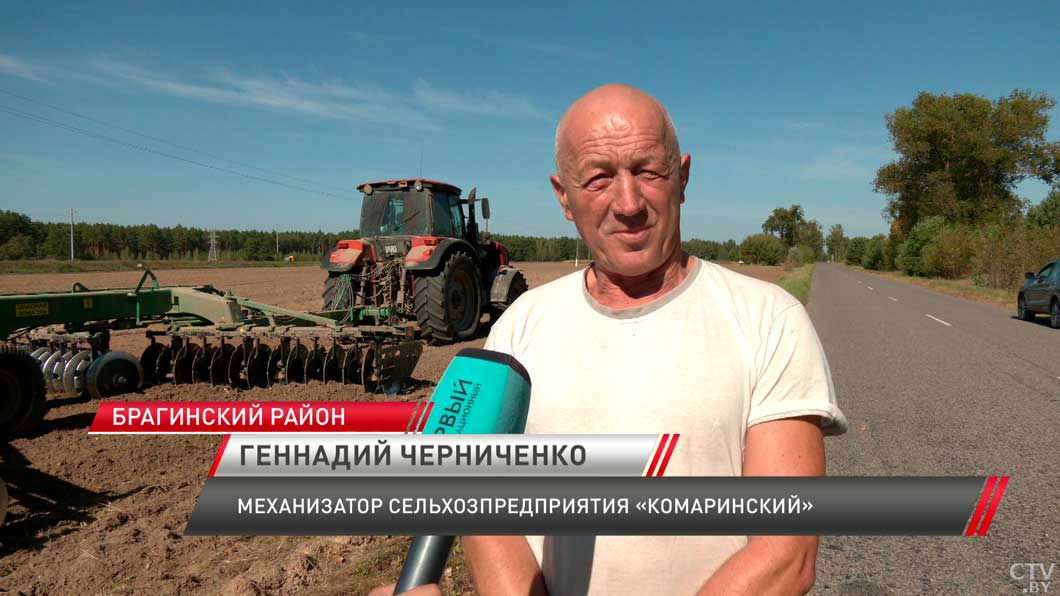 Посев озимых в Гомельской области планируют завершить к началу октября-4