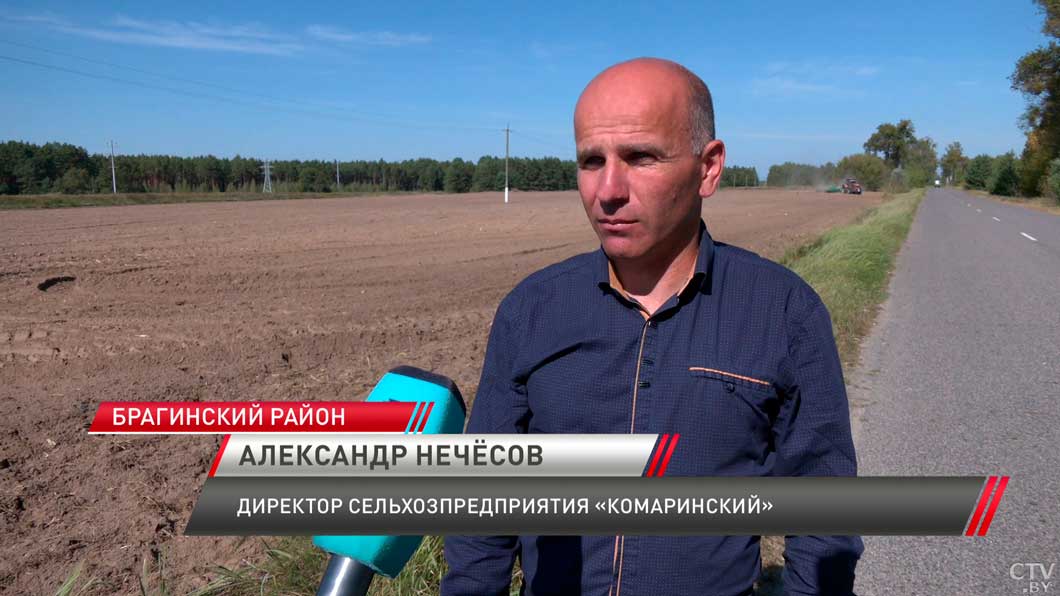 Посев озимых в Гомельской области планируют завершить к началу октября-6