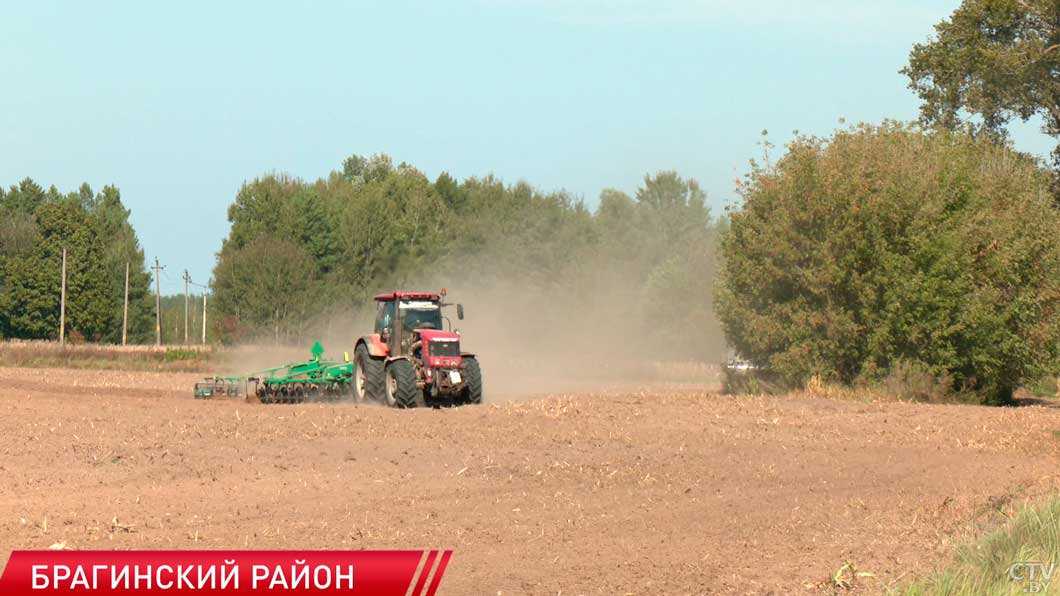 Посев озимых в Гомельской области планируют завершить к началу октября-2