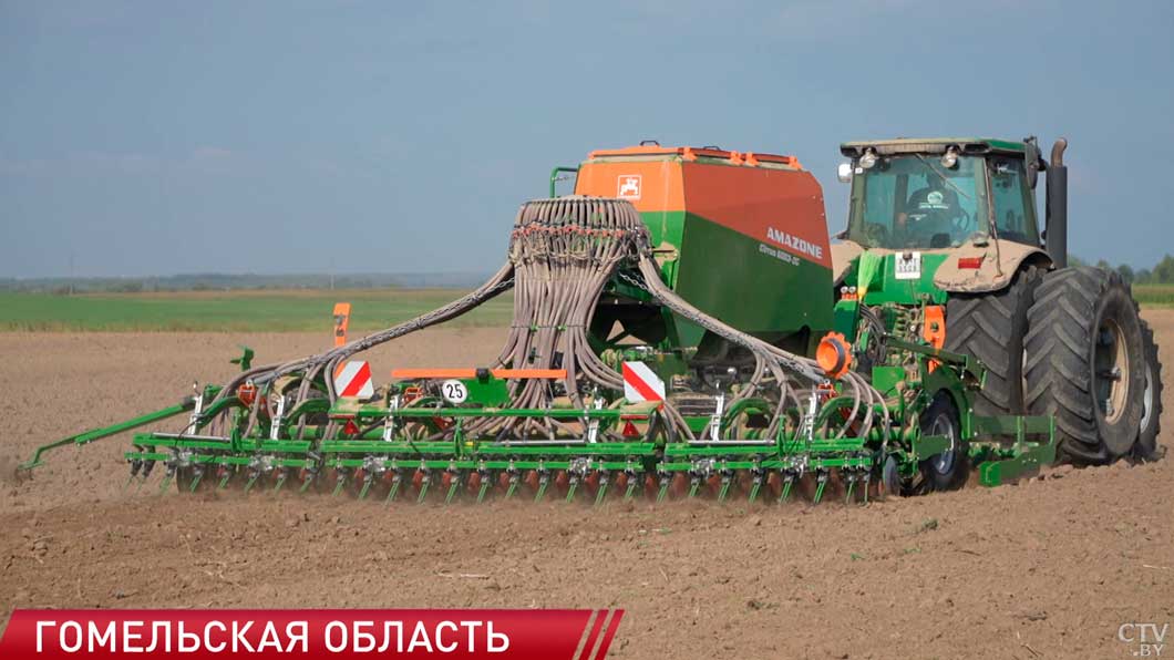 Посев озимых в Гомельской области планируют завершить к началу октября-8