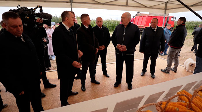 Лукашенко поручил проработать вопрос о строительстве нового сахарного завода