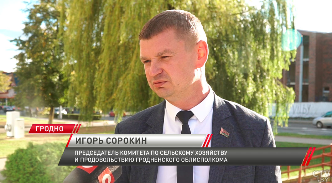 Гродненская область заложит на хранение 2 тыс. тонн яблок для других регионов страны-4