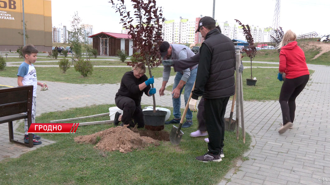 Жители одной из многоэтажек в Гродно благоустроили свой двор-2