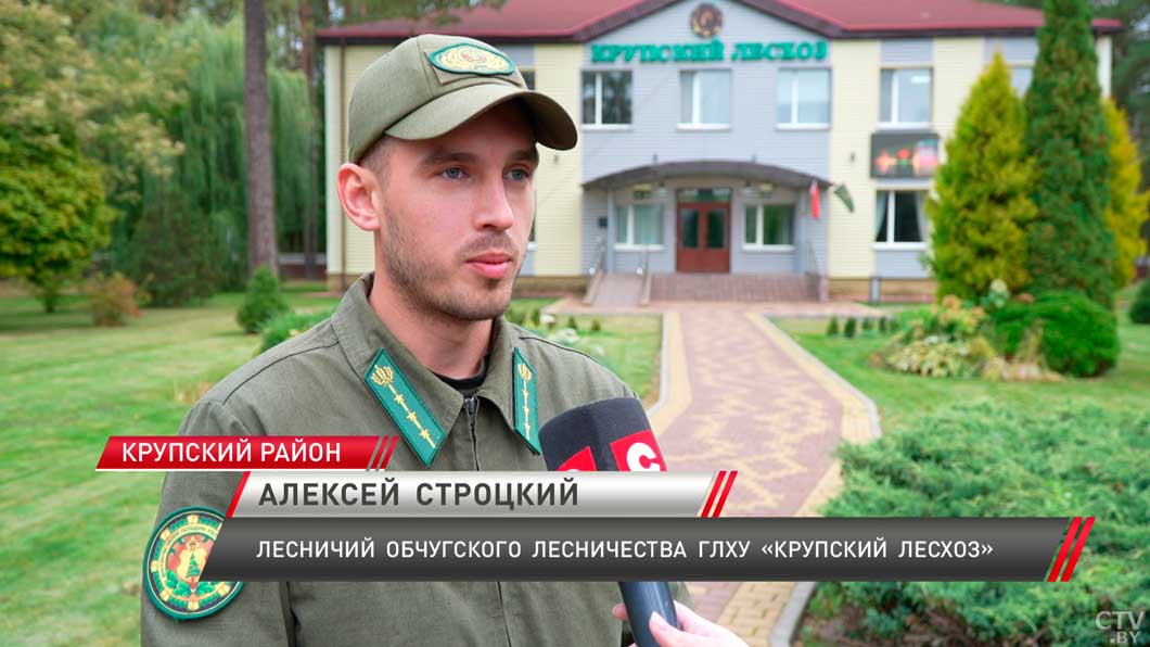 Два сотрудника Крупского лесхоза признаны лучшими в Минской области-4