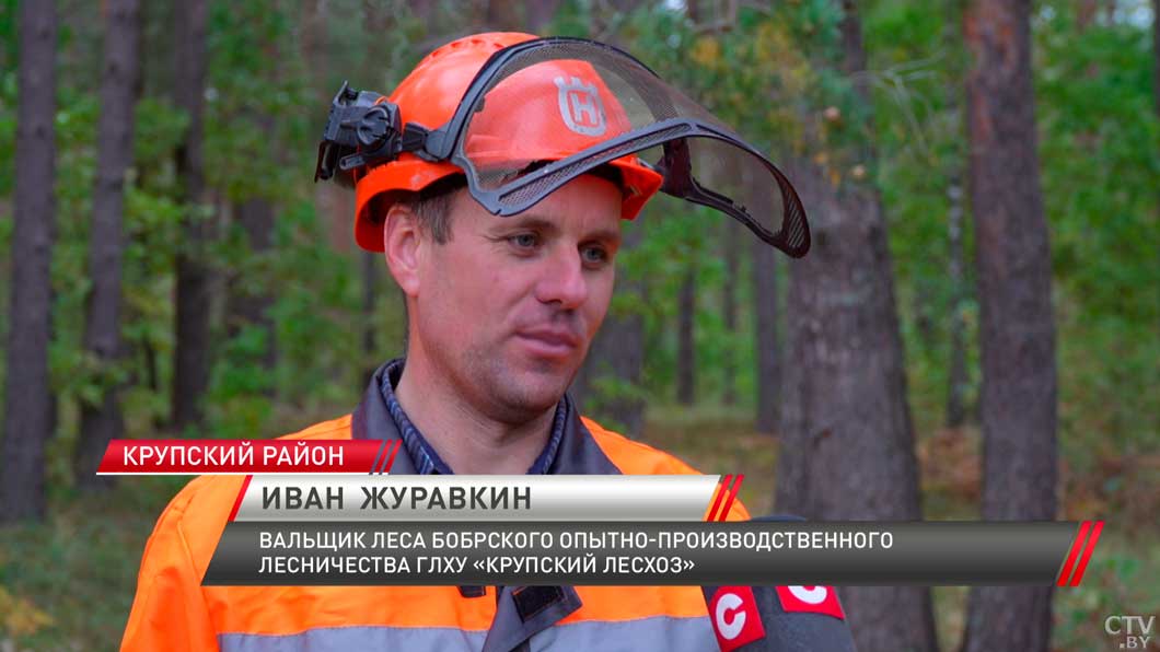 Два сотрудника Крупского лесхоза признаны лучшими в Минской области-8