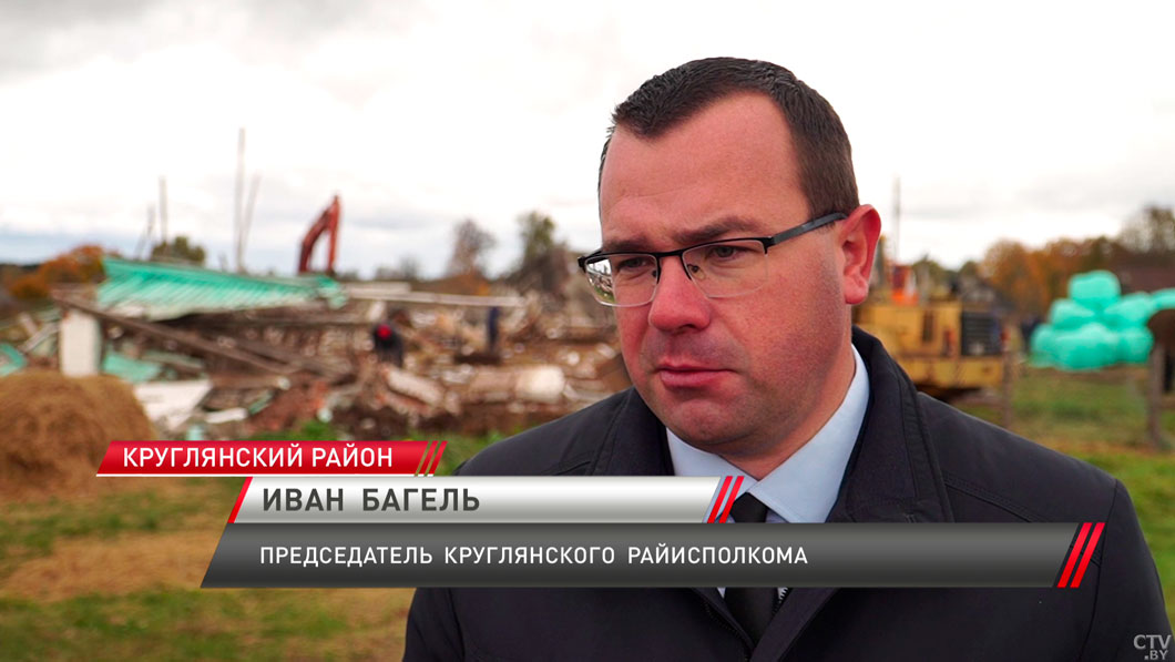 В Круглянском районе шквалистый ветер разрушил здание телятника – 75 животных спасены-4