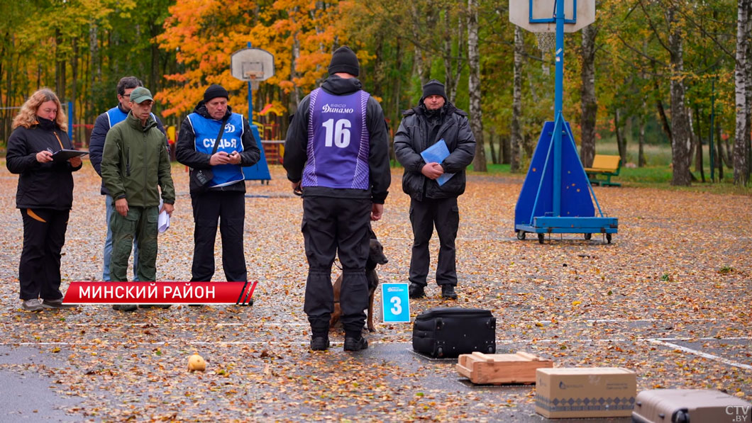 Чемпионат по служебному многоборью кинологов проходит в Минске-2 Чемпионат по служебному многоборью кинологов проходит в Минске-2