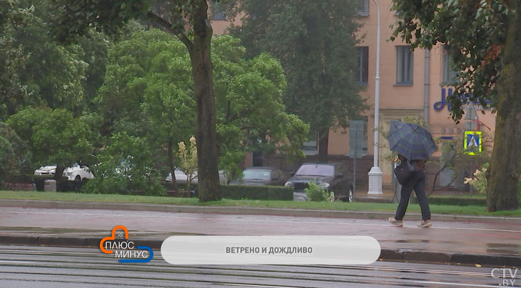 От +4 до +12 с дождями и порывистым ветром – прогноз погоды в Беларуси на неделю-2
