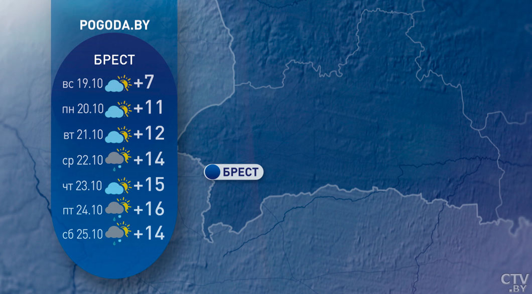 От +4 до +12 с дождями и порывистым ветром – прогноз погоды в Беларуси на неделю-4