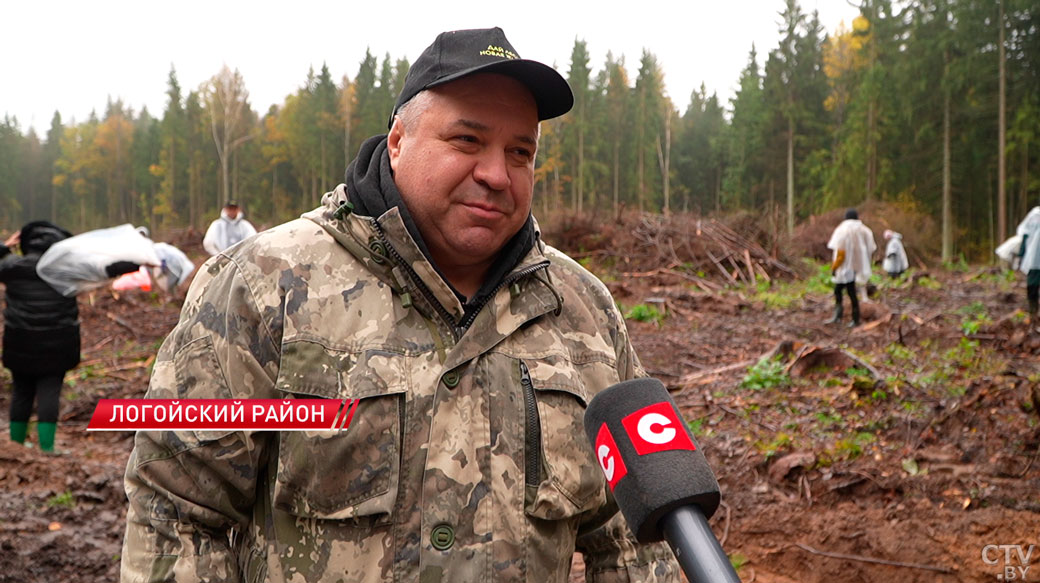Задача государственной важности! В Беларуси проходит акция «Дай лесу новае жыццё»-6