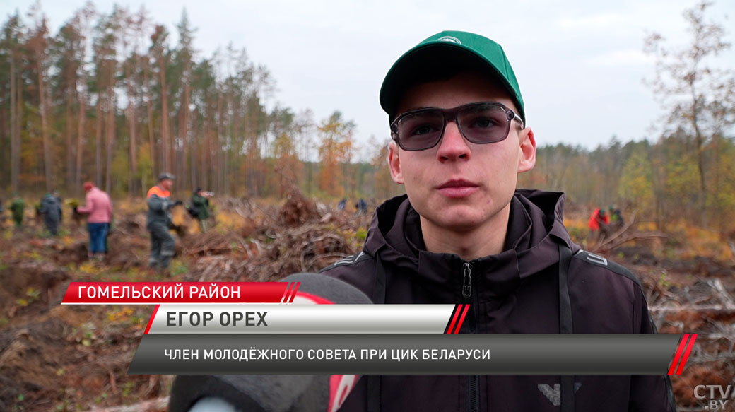 Задача государственной важности! В Беларуси проходит акция «Дай лесу новае жыццё»-4