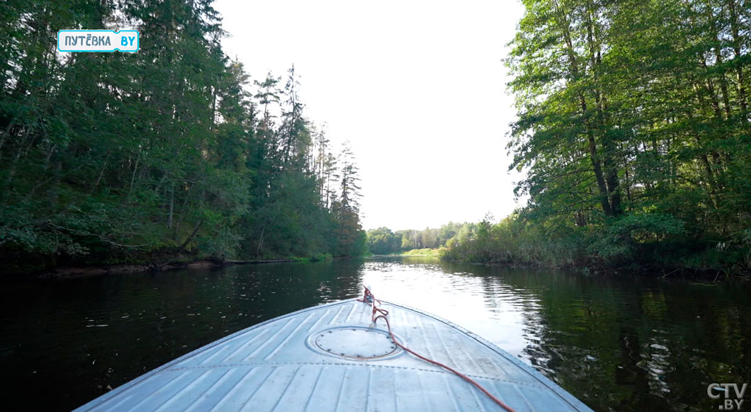 Сафари по-россонски! Почему иностранцы выбирают наш край для охотничьего туризма-8