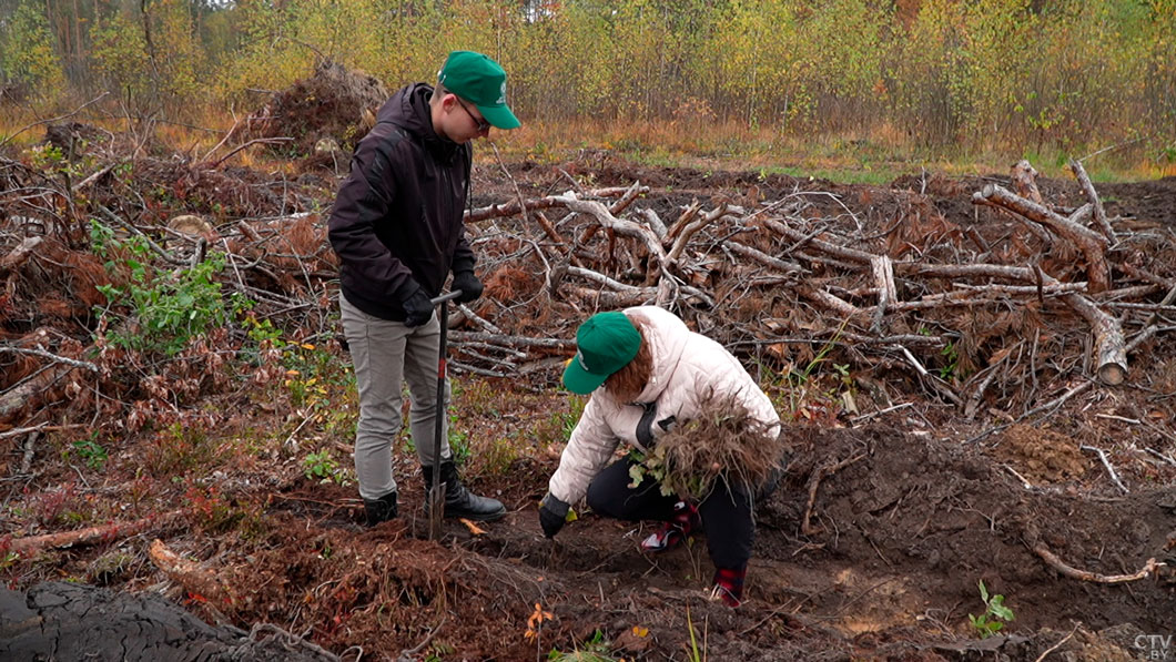 Акция «Дай лесу новае жыццё!» объединила свыше 20 тыс. белорусов-2