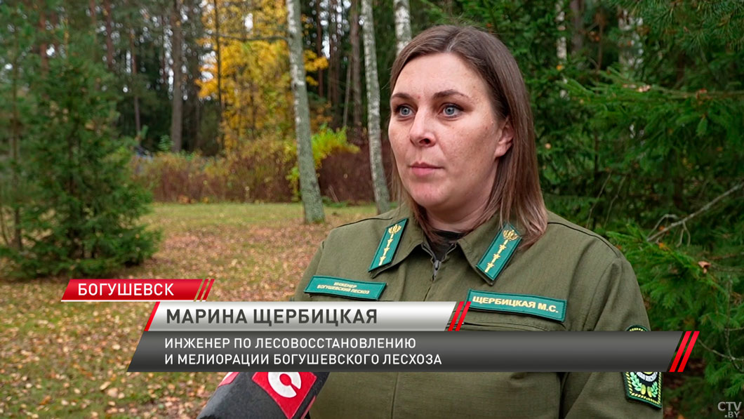 Акция «Дай лесу новае жыццё!» объединила свыше 20 тыс. белорусов-4