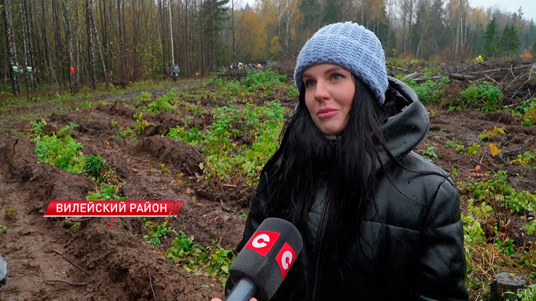 Представители Мининформа и ведущих СМИ страны восстанавливают лес в Вилейском районе-8