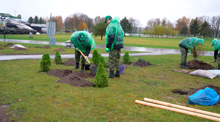 Около 400 деревьев и кустарников! Новый парк появился у Кургана Славы