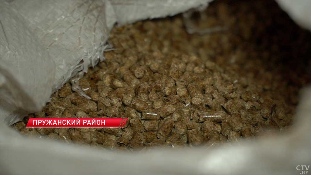 Выгодно и рационально – Беларусь все активнее переходит на местные виды топлива-10