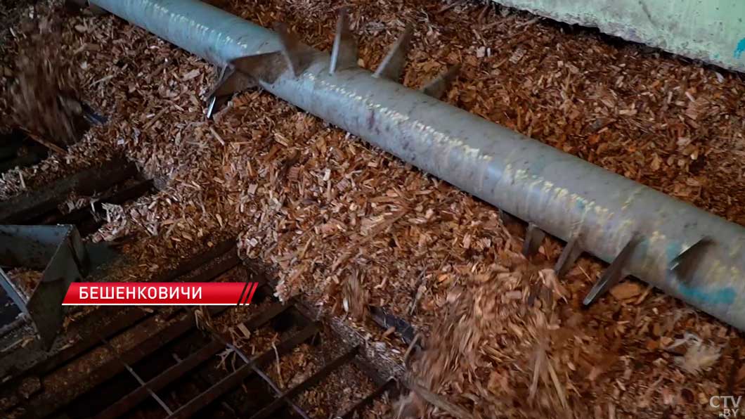 Выгодно и рационально – Беларусь все активнее переходит на местные виды топлива-12